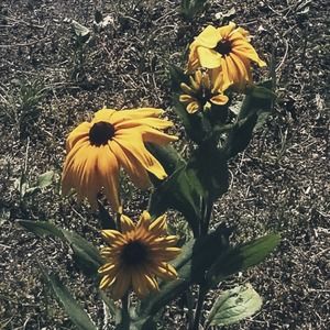 Meet your Posher, Karly